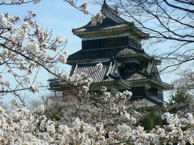 Marunaka Ryokan Matsumoto Exterior foto